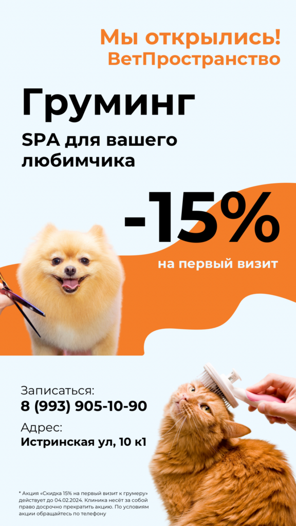 Акции и скидки