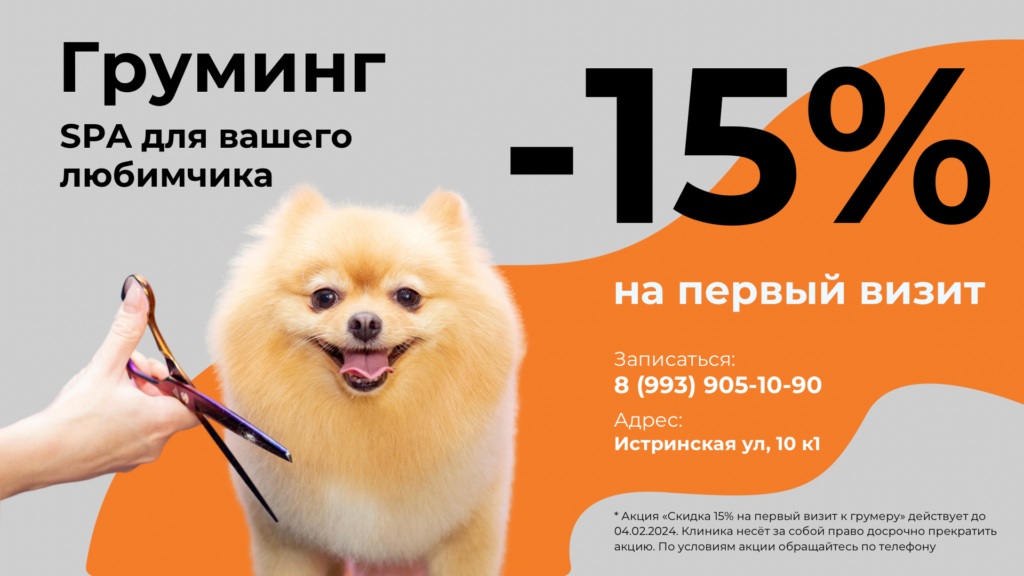 Акции и скидки