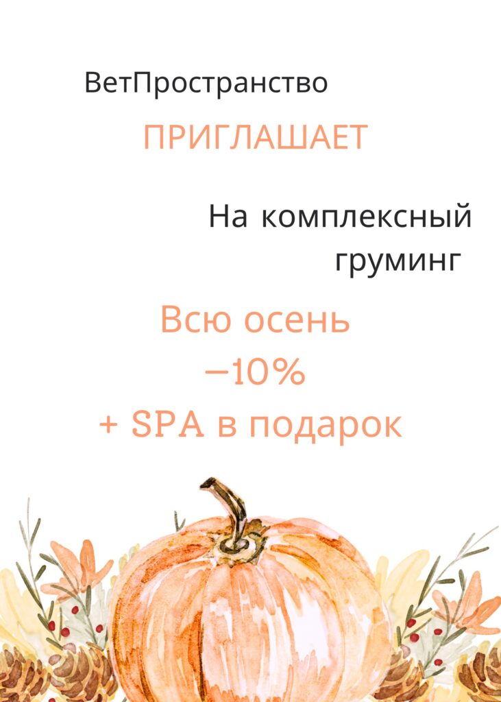 Акции и скидки